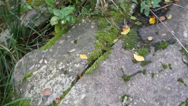 Tingstedet Jonstrup Vang sb020216-21 смотреть онлайн