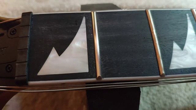 Ibanez Gio RG Fret Polish - Look at Them Shine! смотреть онлайн