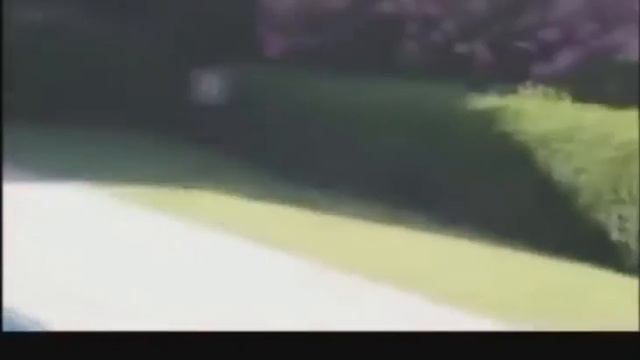 Смешное видео про кошек.Смотреть всем