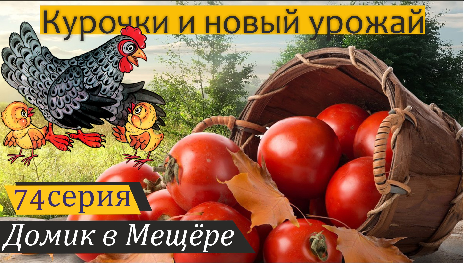 Переселение курочек и новый урожай. Домик в Мещёре, серия 74 смотреть онлайн