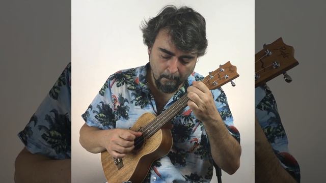 Study No. 45 - Firebug’s Dance (from 50 Miniature Studies for Ukulele) смотреть онлайн