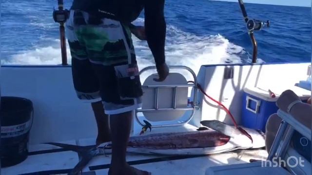 Santa Elena Fishing Charters -разделываем Марлина смотреть онлайн