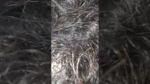 My Sleeping Rapunzel Hairjob hair pulling #Sleepingmom #Hairplay #silkyhair