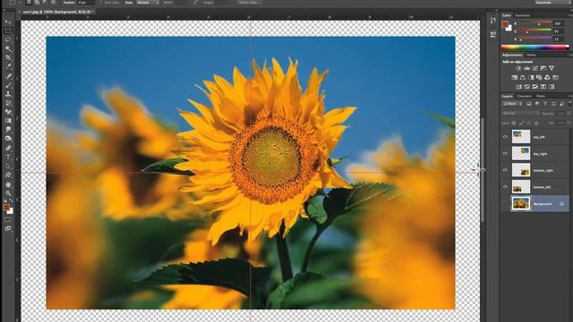 Adobe Photoshop Layer Styles смотреть онлайн