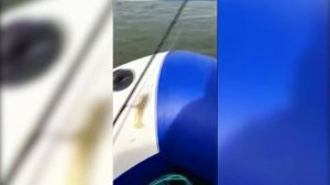 СТЕЛС 335 АЭРО - первые впечатления после покупки. Реальный отзыв клиента.