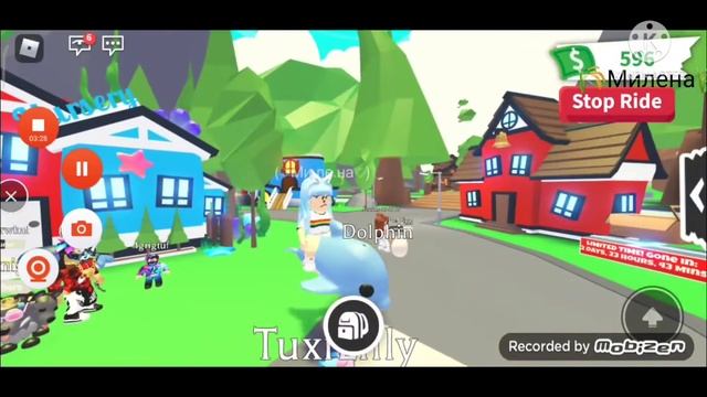 Что дают за НФР дельфина robloxadop me