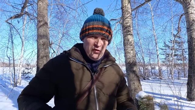 Поведение собаки после вязки. смотреть онлайн