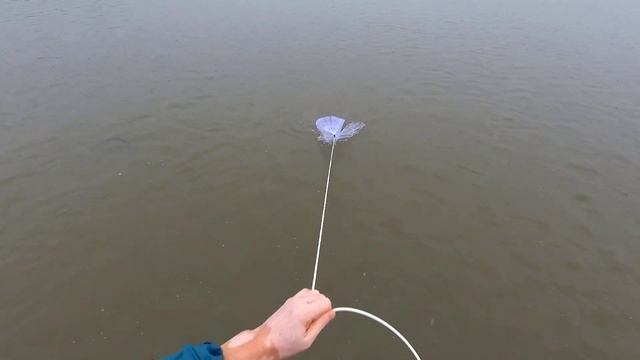 На море в дождливую погоду ловлю уклейку на кастинговую сеть #castnetfishing