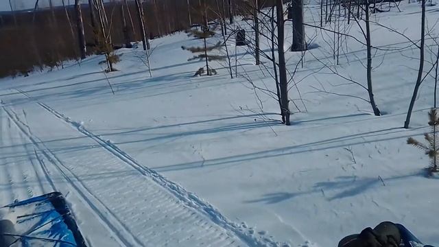 По насту смотреть онлайн