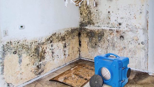 BlueDri AS-550 Industrial Commercial HEPA Air Purifier Review смотреть онлайн