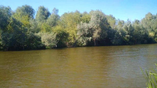 река Любечь возле деревни Соболевка смотреть онлайн