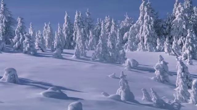 Почему я выбрала это стихотворение смотреть онлайн