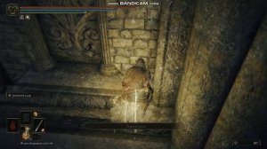 Секретное место звериное прибежище elden ring