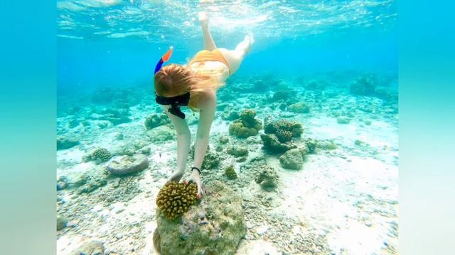 ?Подводный мир Мальдив?? сноркелинг ?в Индийском океане? The underwater world in the Maldives смотреть онлайн