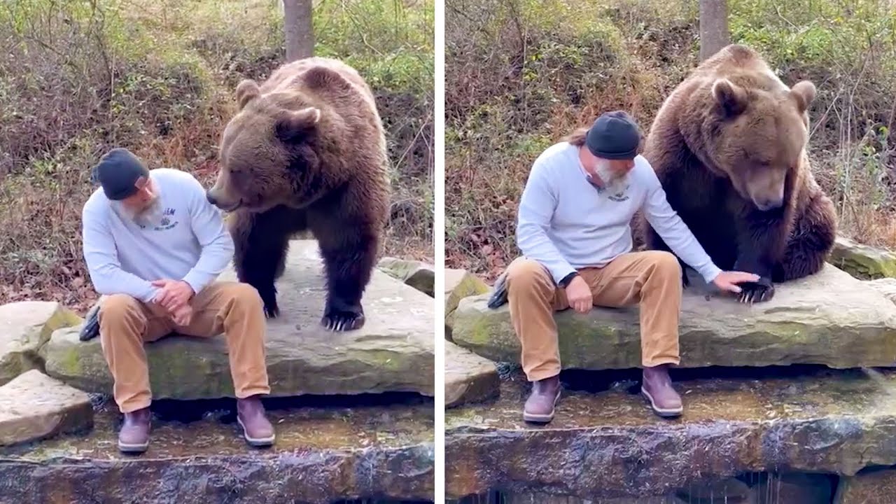 Лучшие видео 2022 года