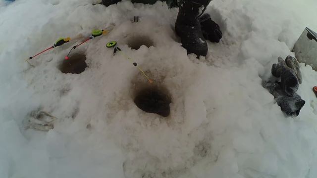 Зимняя рыбалка 2019/ Ловим Корюха/ Белое море смотреть онлайн