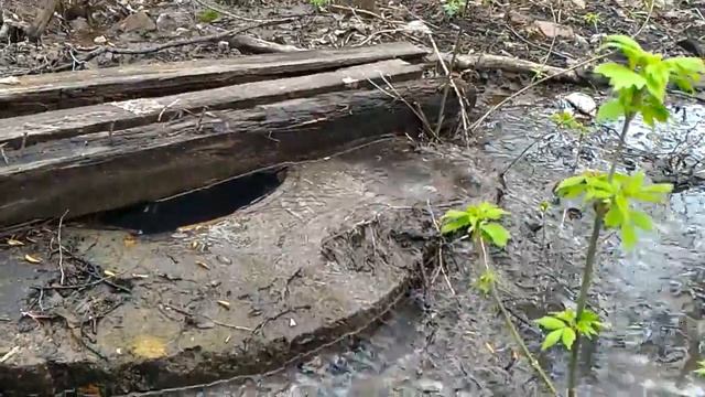 Течет ручей, бежит ручей: часть 3 смотреть онлайн