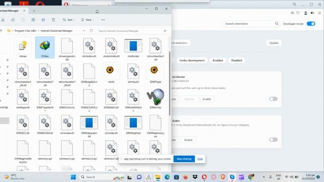 How To Add IDM Extension In Opera Browser (2023) смотреть онлайн