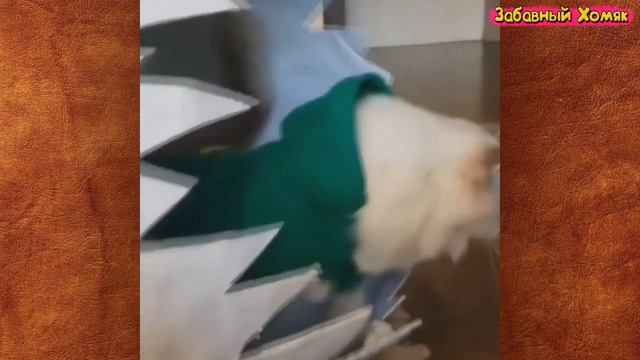 5 без рек смотреть онлайн