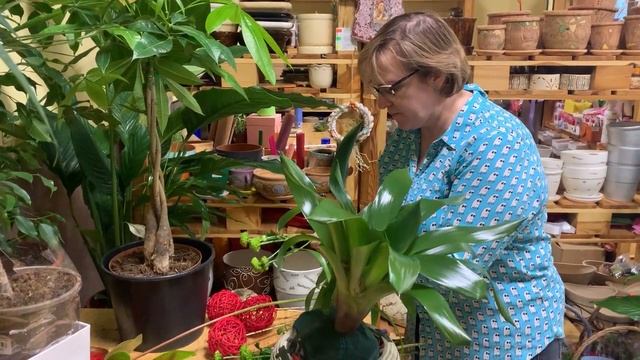 Цветочный абонемент или как порадовать любимую женщину без хлопот смотреть онлайн