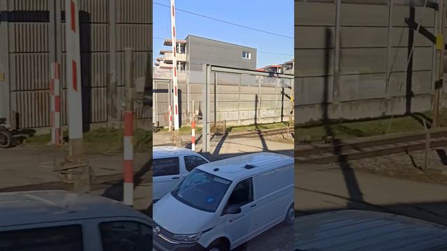 ЗИМА В ШВЕЙЦАРИИ. 31 ЯНВАРЯ 2024 ГОДА. смотреть онлайн