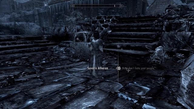 Inconsequential NPCs - Windhelm Gate Guard Imperial Harrassment смотреть онлайн