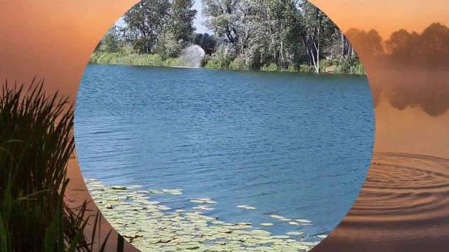 твердыня вечная Иисус(музыка и слова Кузнецова Вадима исполняет автор) смотреть онлайн