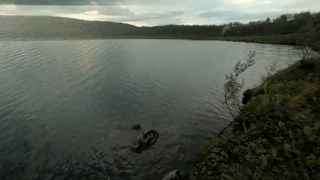 Хотел заселить ОКУНЕЙ в ЩУЧЬЕ озеро. НО, что то пошло НЕ ТАК. Рыбалка на СПИННИНГ. смотреть онлайн