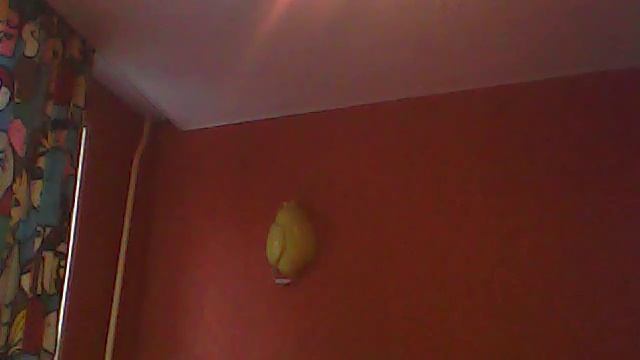 Видео C веб-камеры от 28 октября 2015 г., 12:20 (UTC)