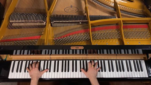 BEETHOVEN 2nd Movement Moonlight Sonata op. 27 n. 2 4K смотреть онлайн