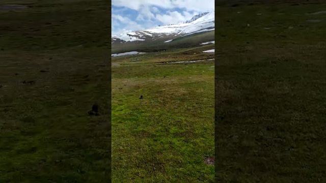 горы Тянь-Шань. смотреть онлайн