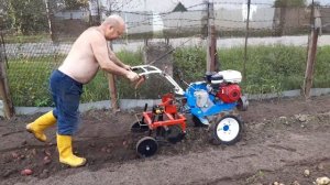 Картофелекопалка "Ока" ККВ-1