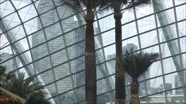 СИНГАПУР 02 2017 ч 4