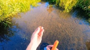 Коп в Калуге 2019