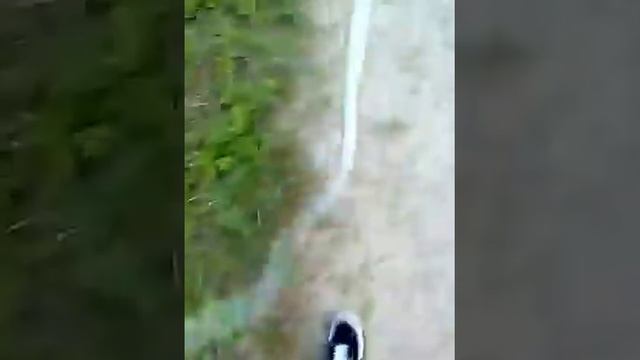 Путь из Запрудни домой смотреть онлайн