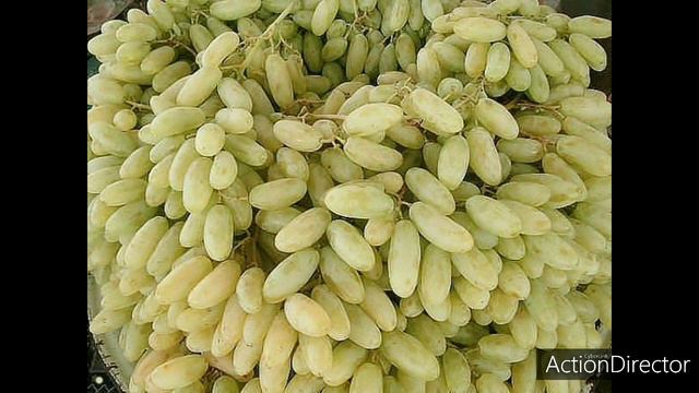 *ORANGE* Магазин с большим именем. смотреть онлайн