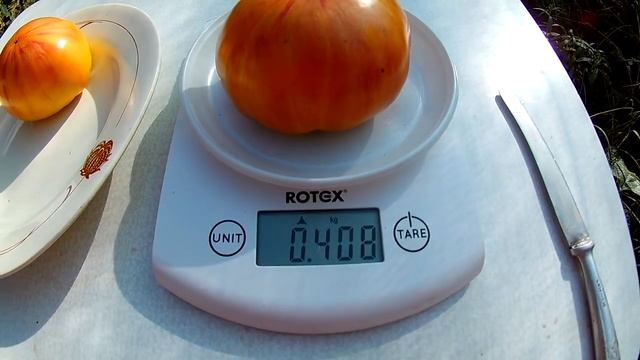 Томат Гавайский ананас (Hawaiian Pineapple)