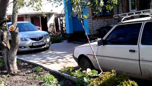 Как уберечь на дереве черешню от птиц. смотреть онлайн