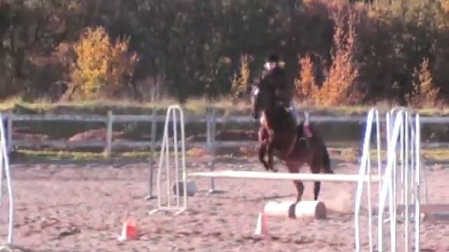 galop3_obstacle3_21_11_08.MOD смотреть онлайн