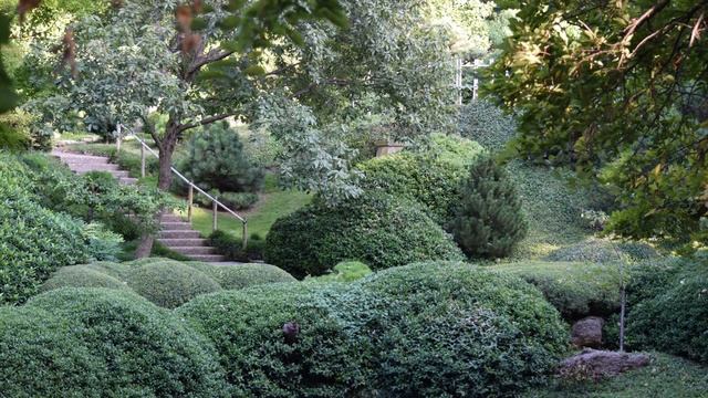 Nikon D5300 with 55-300mm f/4.5-5.6 lens samples смотреть онлайн