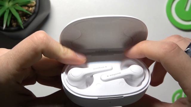 Где находится серийный номер Anker SoundCore Life Note? / Сериный номер Anker SoundCore Life Note