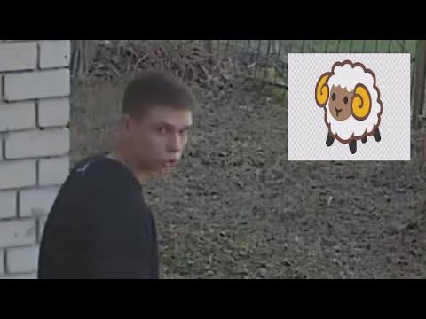 202304231355 ещё один представитель благородных пород