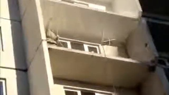 Покраска фасада зимней краской смотреть онлайн