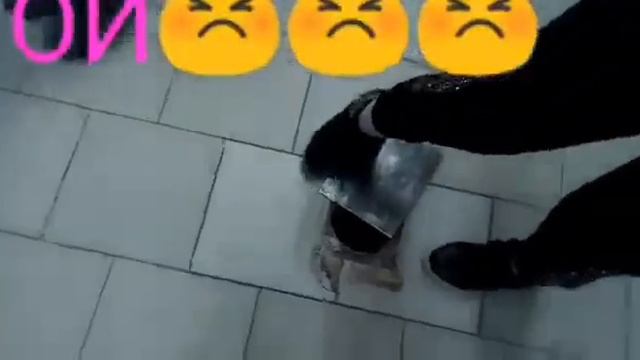 Влог Оазис Плаза смотреть онлайн