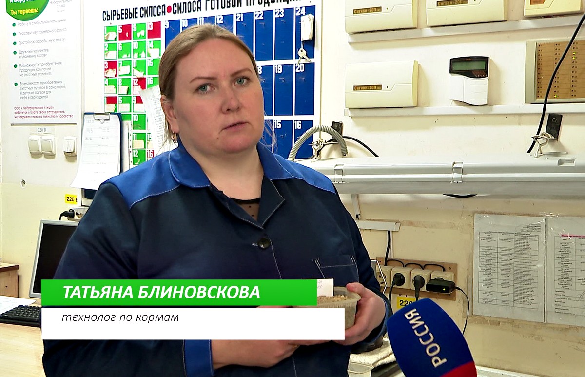 Программа "Земля Южноуральская", выпуск № 61, эфир 27.04.2023 смотреть онлайн