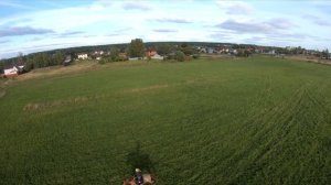 Девушка скачет на лошадях в поле