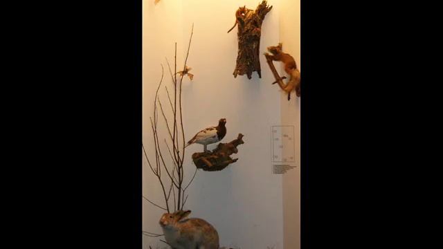 Весенние явления смотреть онлайн