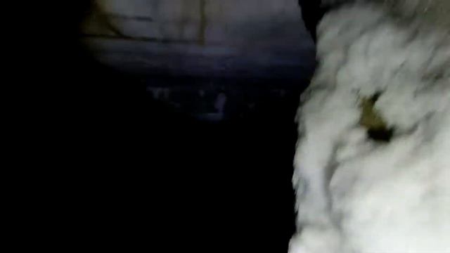 ДИГГЕРЫ ЗАЛЕЗЛИ В ПОДЗЕМНУЮ РЕЧКУ, подземная речка крутой лог смотреть онлайн