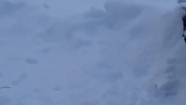 гусеничный вездеход по снегу смотреть онлайн