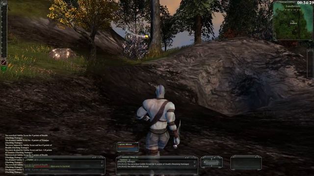 Darkfall Online Gameplay